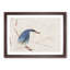 Blue Bird by Ogata Gekko - Picture Frame Painting Print-55545207-55545216