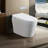 Tankless Smart Toilet With Bidet Built In, One-piece Bidet Toilet Seat, Auto Flush,Heated Seat, Warm Water and Dry, Adjustable Temp,Remote Control Side Know