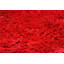 Gaudy Non-Slip