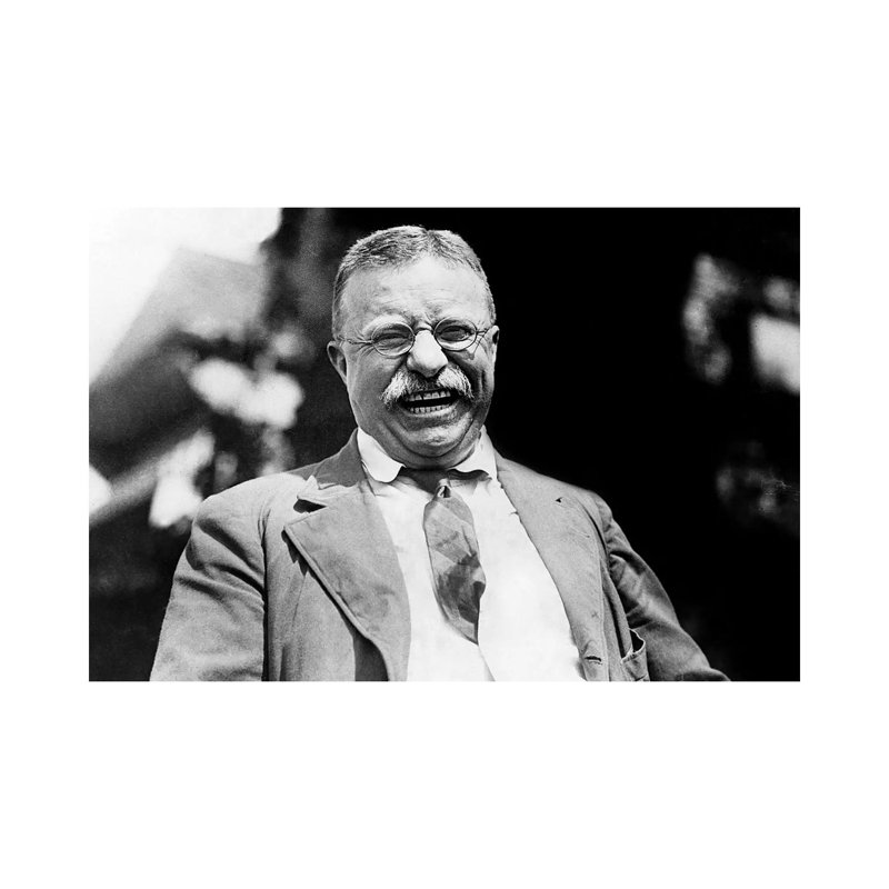 Theodore Roosevelt (1858-1919) - Wrapped Canvas Print, 66.04 cm H x 45.72 cm W x 1.91 cm D