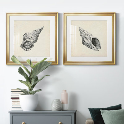 " Seashell Pencil Sketch I " 2 - Pieces