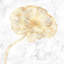 Golden Poppy Flower Canvas - Floral Home Decor Artwork