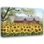 Art sur toile tendue par August Grove® Jacobs, Billy Gallery: Sunshine