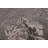 Elysian  Grey Rug 6'7" x 10'0"