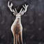 Lonely Deer-401999794-401999799
