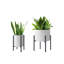 Plant Stand