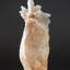 Genuine Stalactitic Calcite Cluster