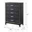 Haiden Weathered Black Finish Chest-1730125213