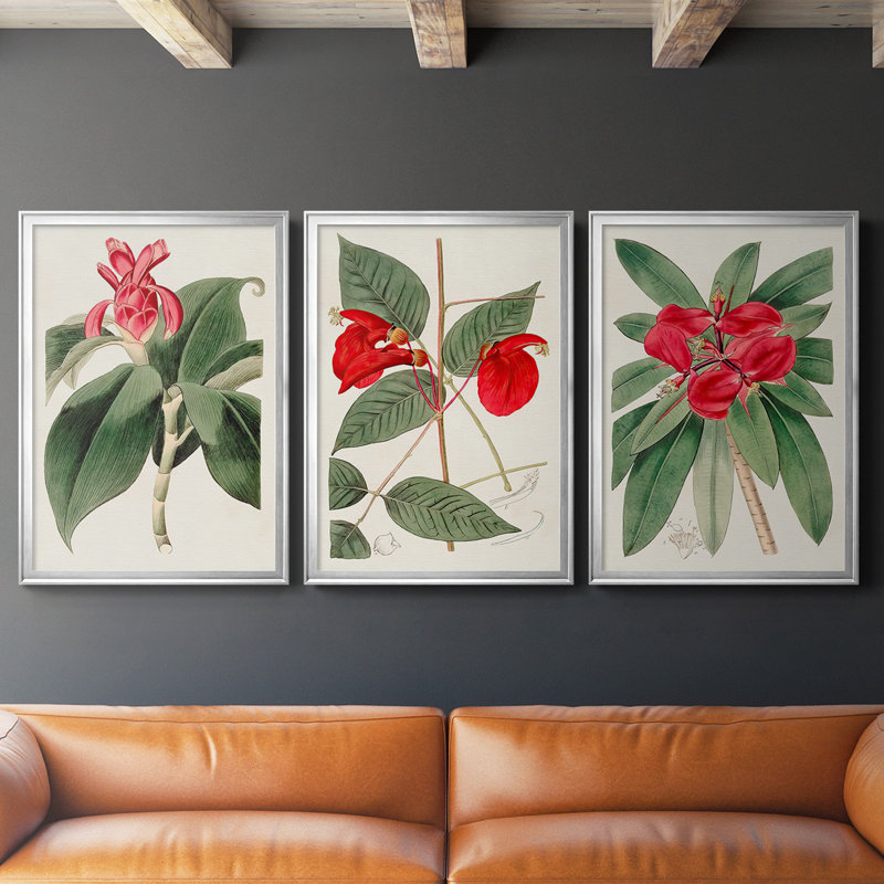 «Flora Of The Tropics I», toile encadrée de qualité supérieure - prête à être accrochée, H 24,5 po x l 37 po x P 2,5 po