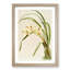 Magnolia Flowers Illustration Tab. 75 by Frederick Sander - Picture Frame Painting Print-55760300-55760303