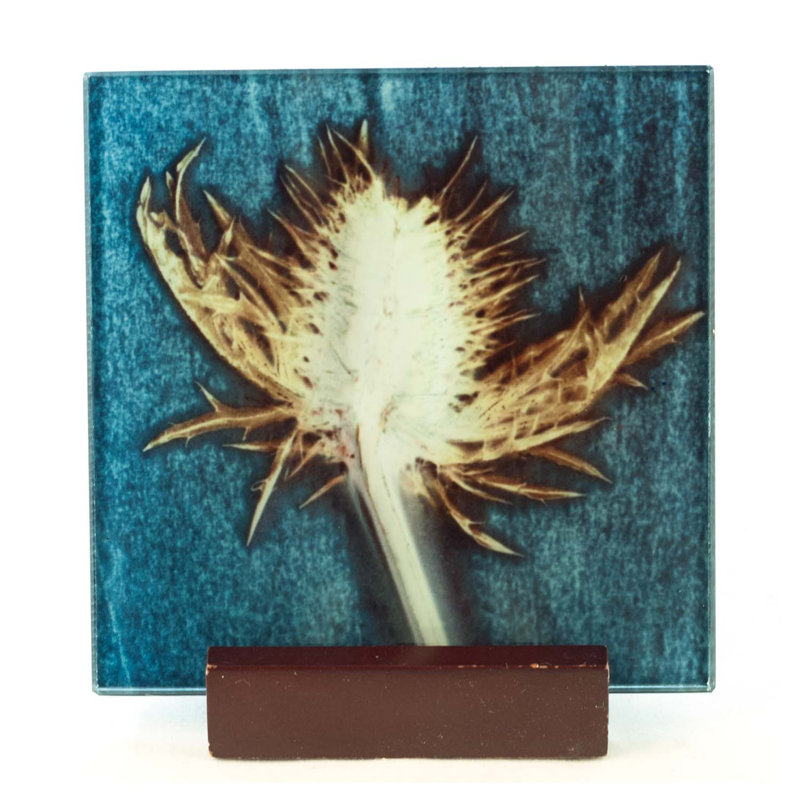 Glass Square 1 Piece Coaster, Blue