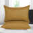 Ochre