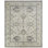 Neerav Wool Oriental Area Rug in Ivory