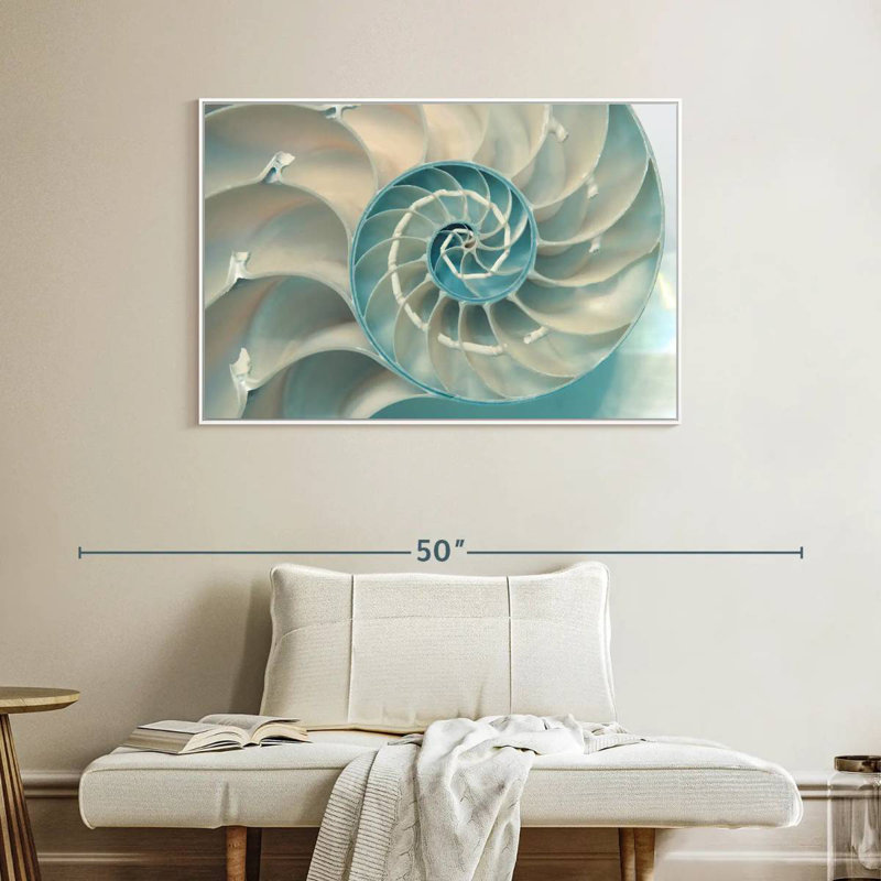 Inside A Nautilus Shell, 40" X 27", Floating Frame White