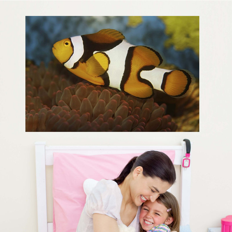 Adhésif décoratif clown et anenome, H 32 po x l 48 po