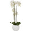 115cm Faux Plant in Cement Pot