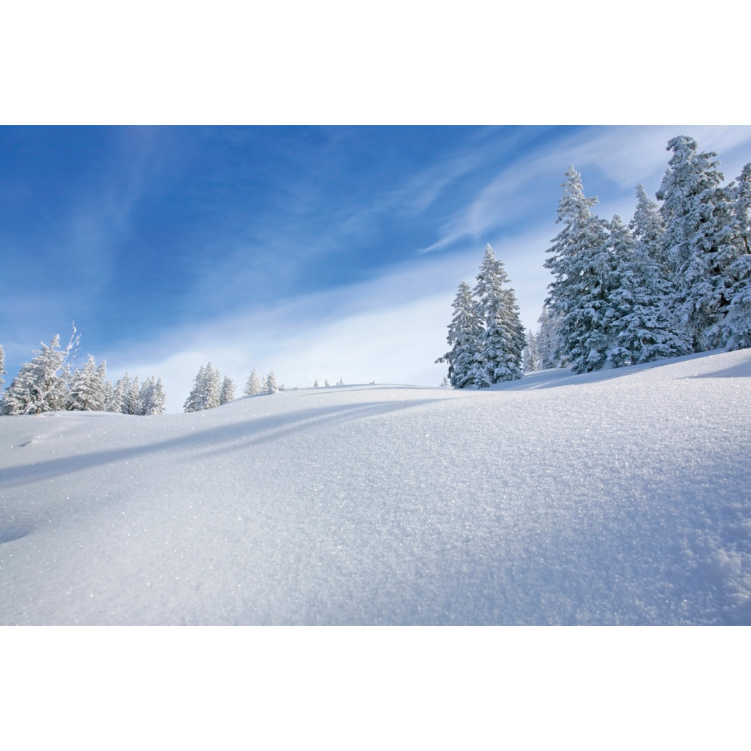 Winterlandschaft von Jcrosemann - Druck auf Leinwand ohne Rahmen