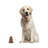 Somersall Animals Figurines & Sculptures