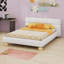 Lit contemporain tapissier à profil bas avec tissu en molleton Teddy et pieds ronds massifs, conception élégante en forme de courbe pour la chambre à coucher