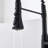 FURUISI Pull Down Kitchen Faucet-100865072
