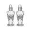 Dublin Crystal Salt & Pepper Shaker Set