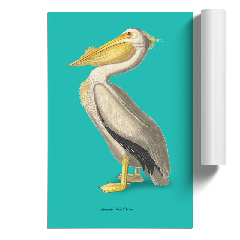 American Pelican in Teal by John James Audubon - Frameless Print, 30cm H x 21cm W x 0.1cm D