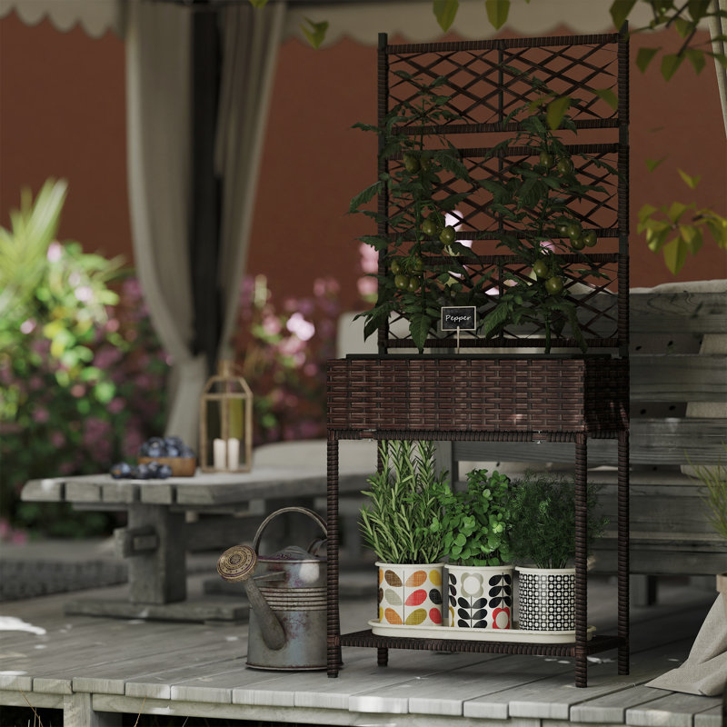 Raised Garden Bed with Trellis, Outdoor Wicker Planter, Freestanding Rattan Planter Stand with Storage Shelf for Climbing Plants, Flowers, Herbs, Vegetables