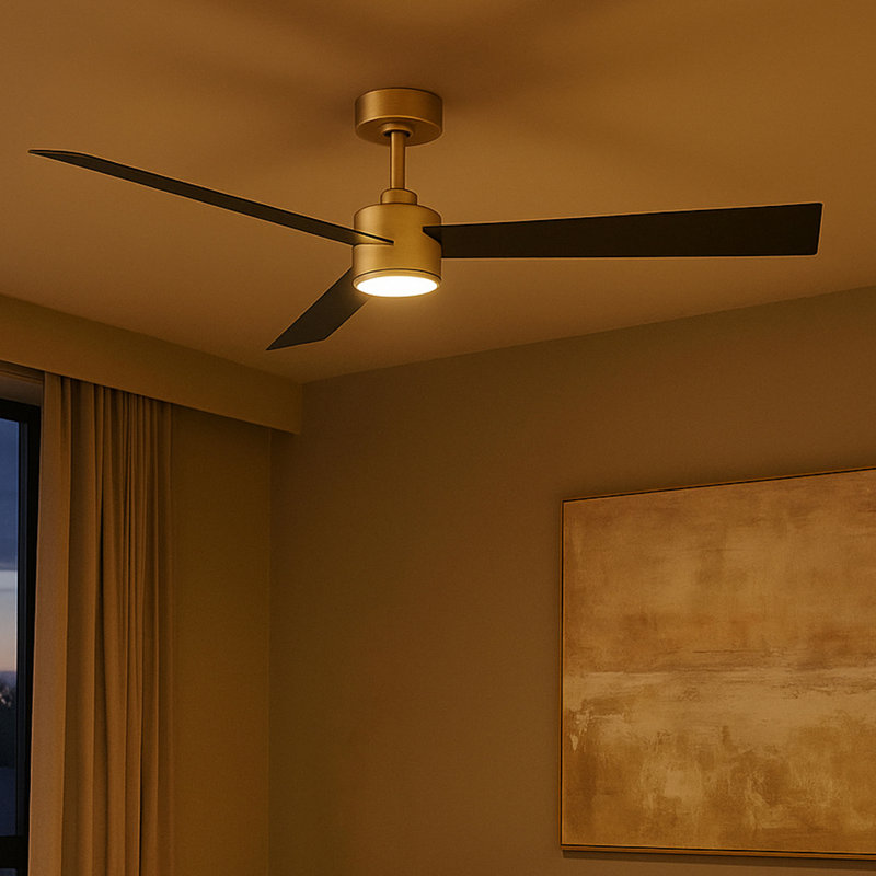 Ventilateur de plafond Hinkley Speck, Laiton, Noir mat