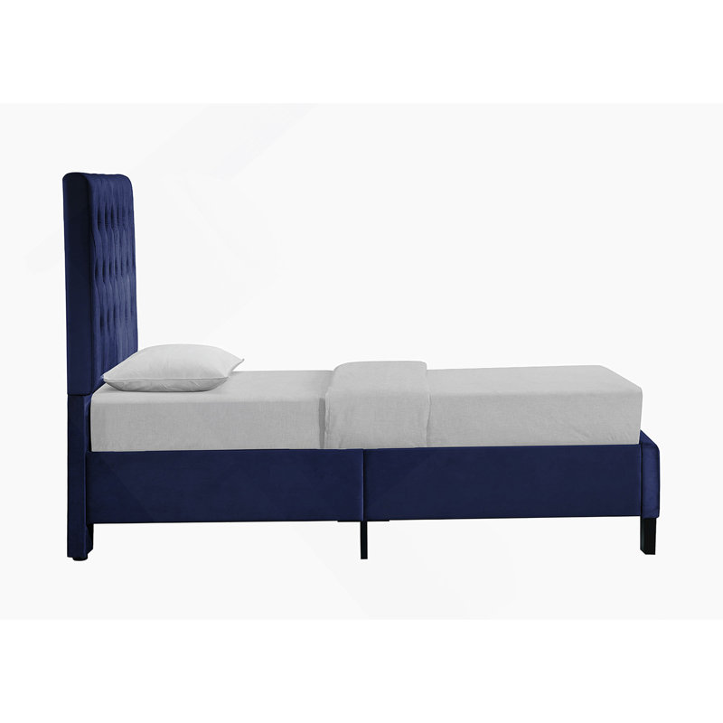 Kayden Upholstered Standard Bed, Navy, Full