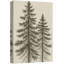 «Tall Pine Trees Classic Botanical Nature Art», reproduction d'art sur toile encadrée-120747927-120747930-120747928