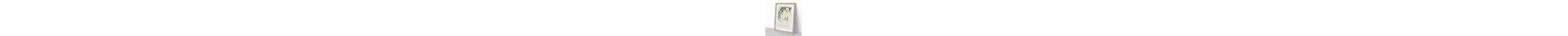 Cuckoo Bird In Flight by Ohara Koson - Single Picture Frame Print-66189927-66189928