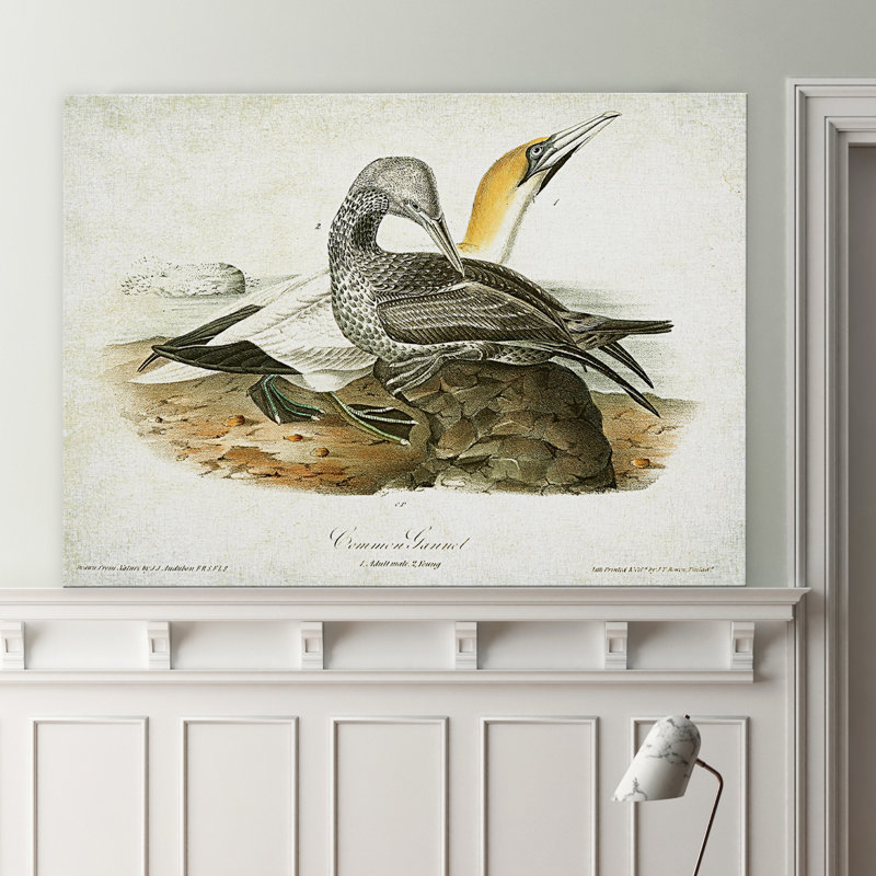 « volière sketch xii », impression, H 18 po x l 27 po x P 1,5 po, Pas de tapis, Toile tendue