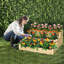 Kersaint Wood Raised Garden Bed