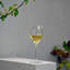 Magnifico Wine Glasses (Set of 4)-588256606