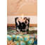 Pearls Black Candle-332013001