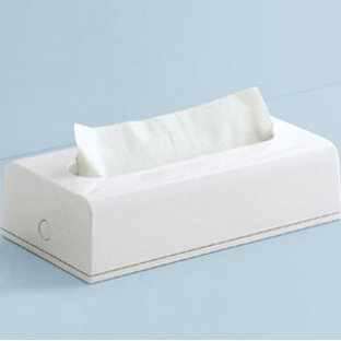 Shawntella Tissue Box Cover