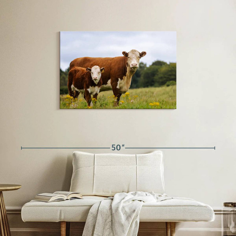 Veau et vache Brampt, H 24 po x l 36 po