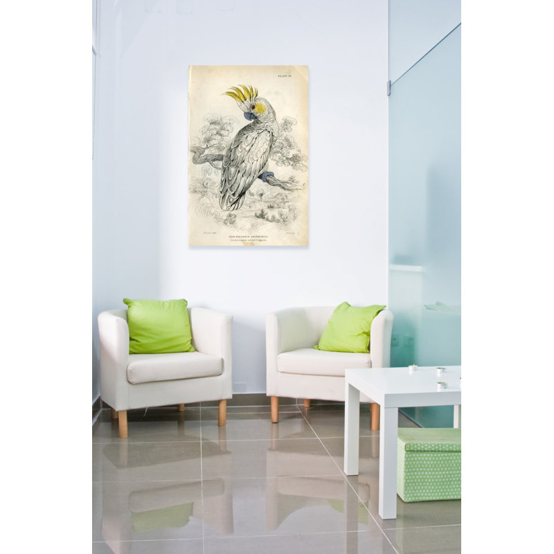 Soufre cacatoès - peinture sur toile tendue, H 24 po x l 16 po