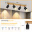 Shanila Spotlight-1813444301