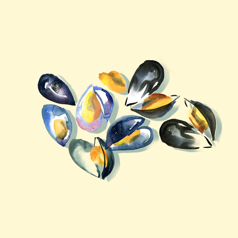 Mussels by Galyna_P - Wrapped Canvas Print, 76cm H x 76cm W x 3.8cm D