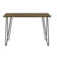 Adlai Metal Base Writing Desk-24762771