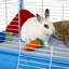 Cage pour petits animaux Ellie
