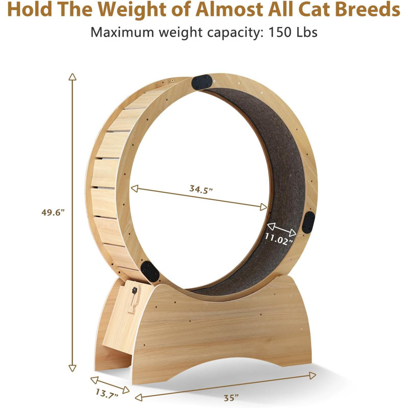 Arbre à chat H 49,6 po Daveontae