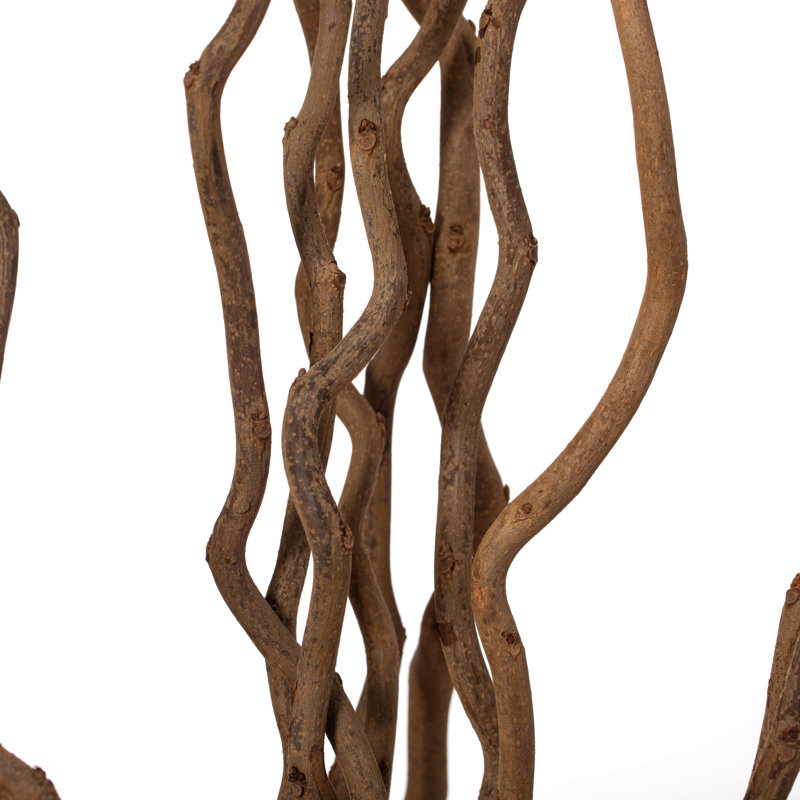 Seaford Mulberry Branches, Brown, 59" H