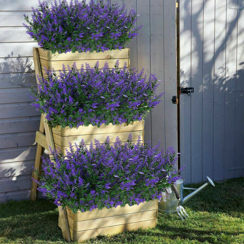Arrangements floraux, Mauve