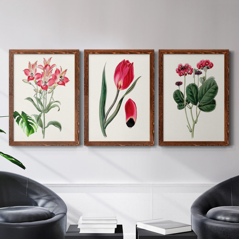Roseat Blooms I - ensemble de 3 peintures sur toile encadrées, H 31,5 po x l 47 po x P 1,5 po, Érable