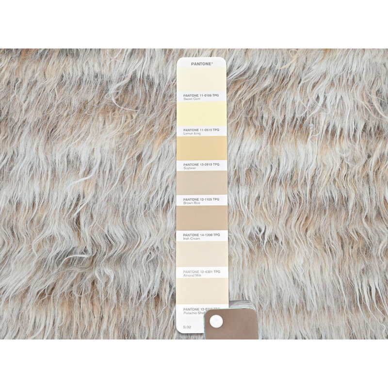Tapis oriental beige en laine naturelle nouée à la main 2 po x 10 po x 5 po x 5 po 5B2C5F3B7C6C4CF3857394B36C3C6E61