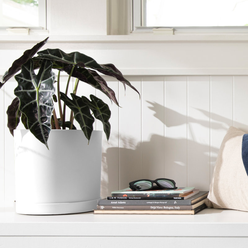 Modern Plastic Indoor/Outdoor Round Planter with Saucer, 9.5" H x 9.63" W x 9.63" D, White