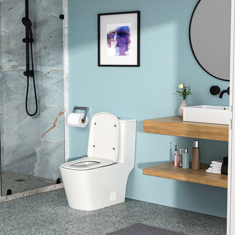 One Piece Ceramic Toilet - Modern Flush System, Efficient Performance Easy To Operate, User- Design