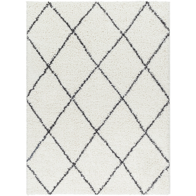 Cassundra Rectangle Geometric Machine Woven Polyester Area Rug in Charcoal/White, Rectangle 5'3" x 7'